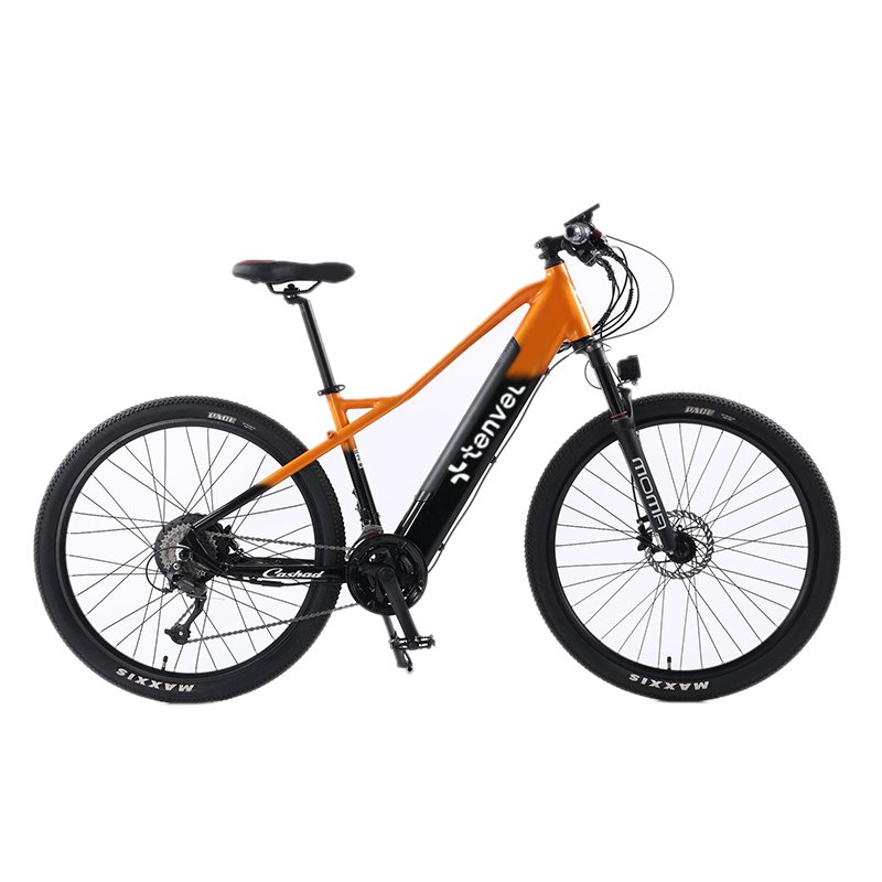 High quality Aluminum Alloy /Steel Frame Fat Tire Bike mountain Ebike 26 Inch 48v Electric mountain Bike