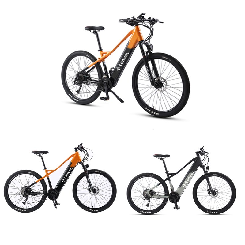 High quality Aluminum Alloy /Steel Frame Fat Tire Bike mountain Ebike 26 Inch 48v Electric mountain Bike