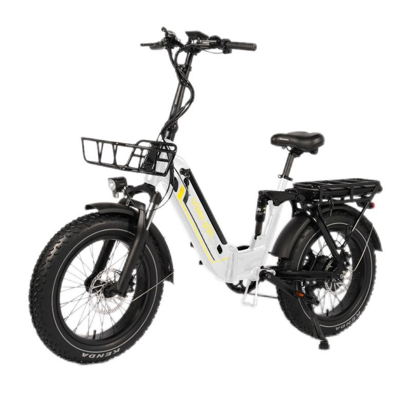 E-bike 750w motor fat tire foldable electric bike high speed 45km/h electric bicycle with 48v 15ah dual battery with 100km range