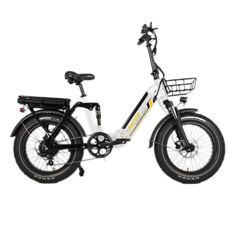 E-bike 750w motor fat tire foldable electric bike high speed 45km/h electric bicycle with 48v 15ah dual battery with 100km range