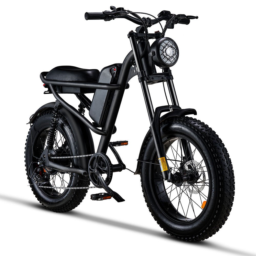 Chinese manufacturer Rear Hub Motor Disc Brake Two-wheeled Brake Electric Mountain Bike For Outdoors