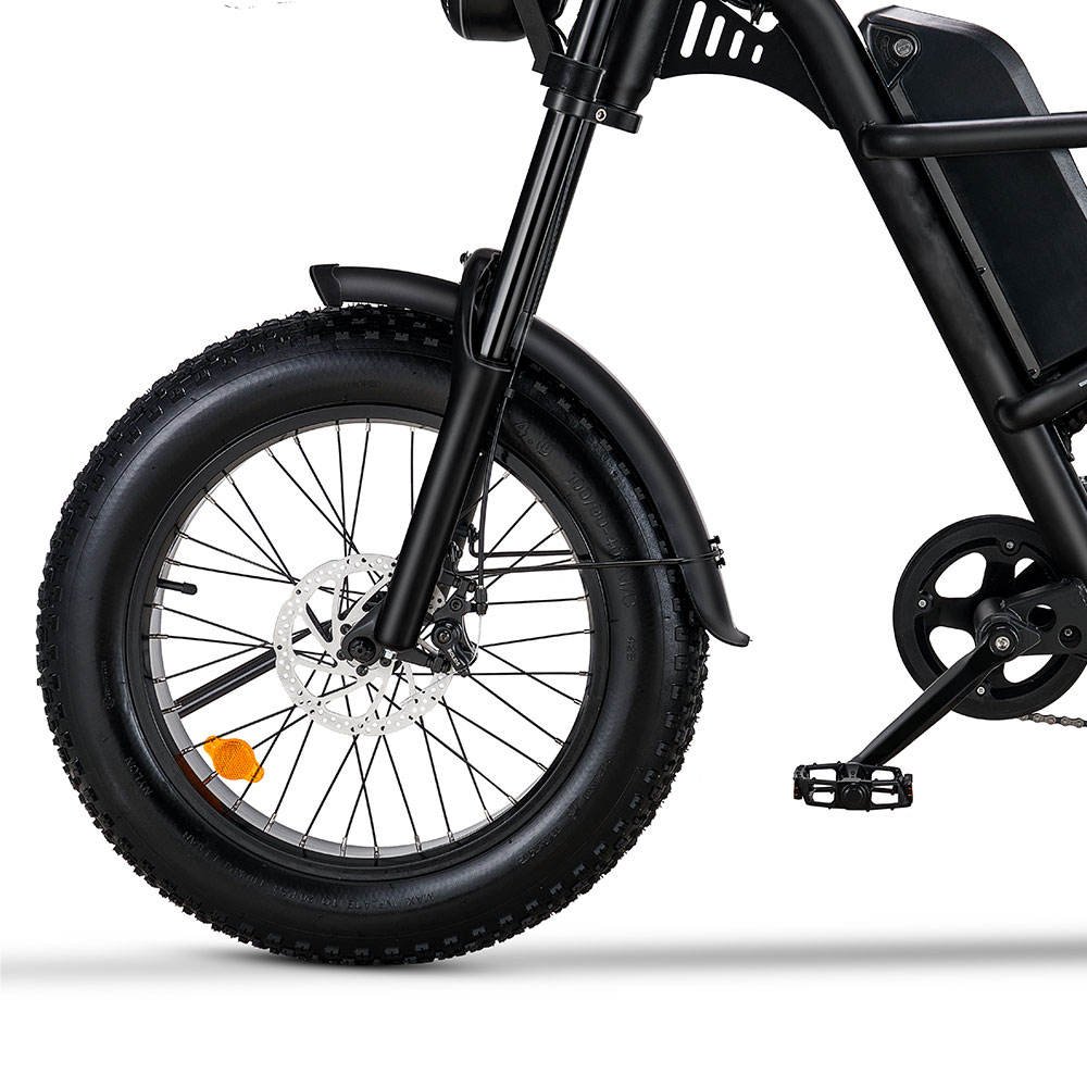 Chinese manufacturer Rear Hub Motor Disc Brake Two-wheeled Brake Electric Mountain Bike For Outdoors