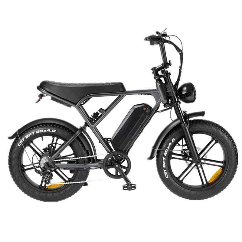 New design fat ebike high quality 48v 250w 500w 750w 1000w motor retro fat tire electric mountain bike