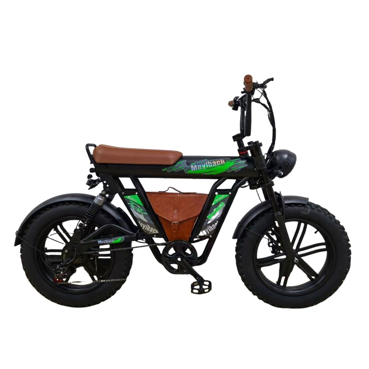 1000w 20 Inch Eu Warehouse Kit Dirt Snow Mountain Electric Fat Bike E Snow Bicycle