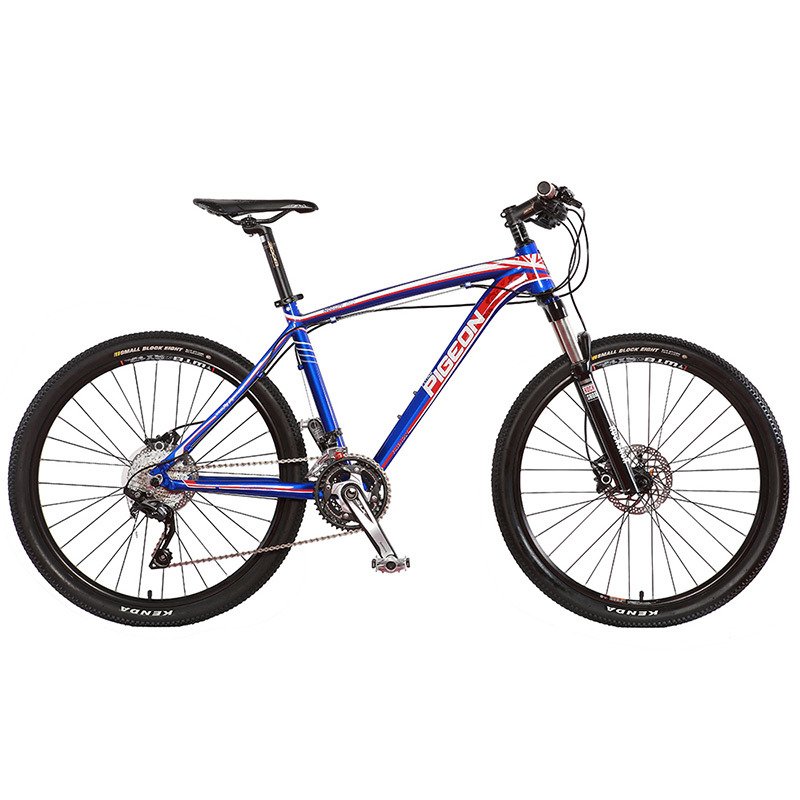 Flying pigeon Unique Design Cameron Style mountain bike with 30speed(FP-AMTB18003)
