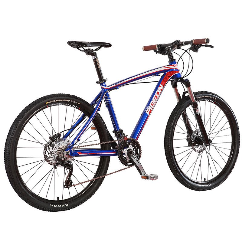 Flying pigeon Unique Design Cameron Style mountain bike with 30speed(FP-AMTB18003)