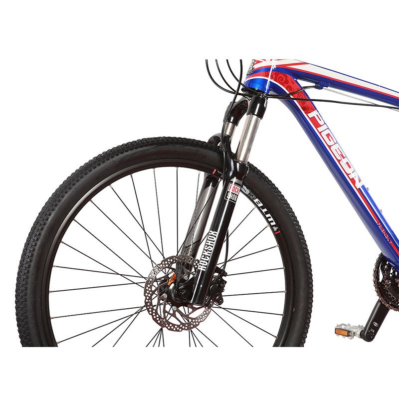 Flying pigeon Unique Design Cameron Style mountain bike with 30speed(FP-AMTB18003)