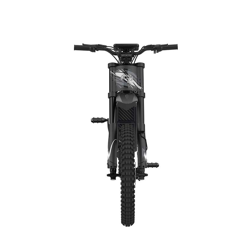 Riding'times GT73 All Terrain Electric Dirt Bike Europe Warehouse 2000W Electric Bicycle Bicicleta Electric E-Bike Ebike