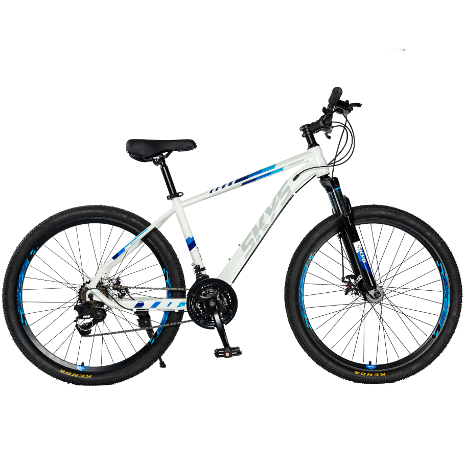Factory Wholesale 27.5 29 Inch Downhill Enduro Full Suspension Mountain Bike MTB Bicicleta