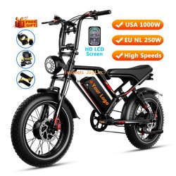EU NL 250W or USA CAN 1000W