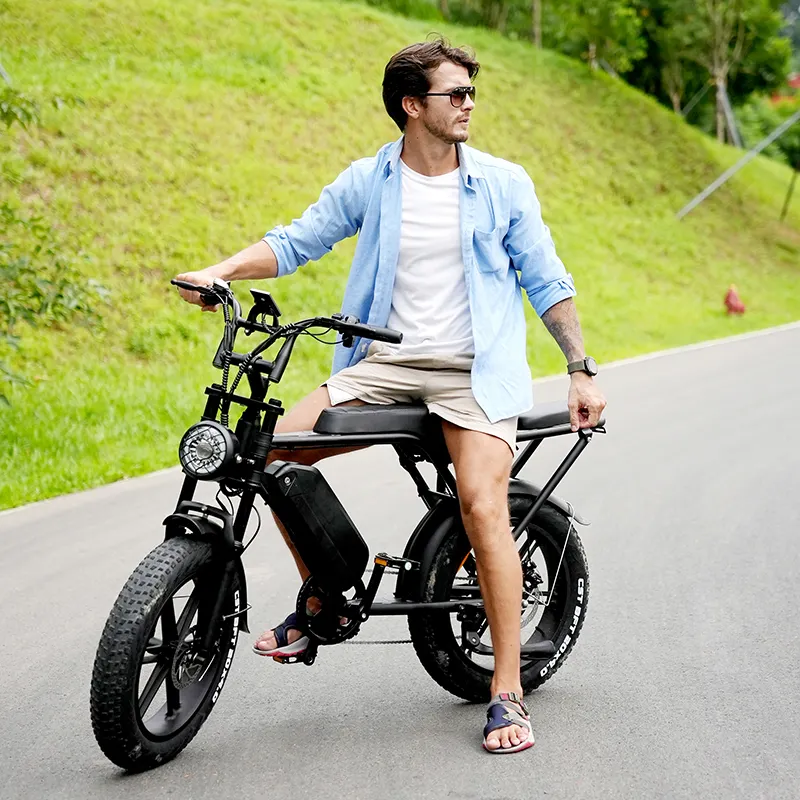 EU Electric Bike OUXI V8 250W 1000W 48V Double Battery 30AH Ebike 100KM Range Fatbike With EU NL DE PL Warehouse
