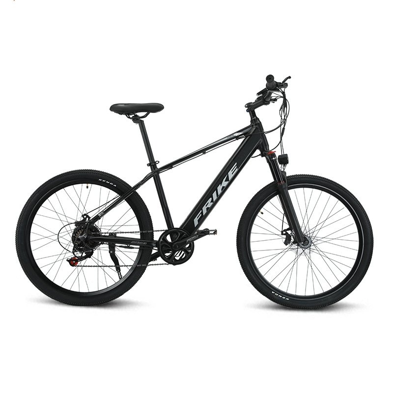 2023 electronic bicycle electric city bike