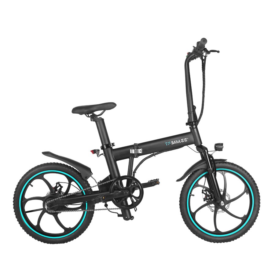 Powerful Foldable E1 Electric Bicycle with 350W Motor 36V Lithium Battery 60 km Range Disc Brake Integrated Frame