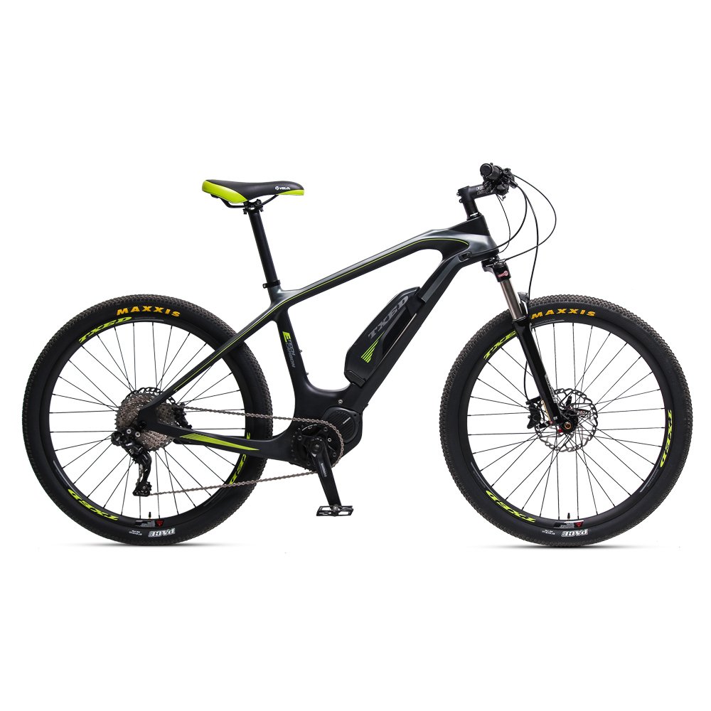 TXED Brushless Geared 36V/250W Lithium Battery Electric Mountain Bike With 11 Speed