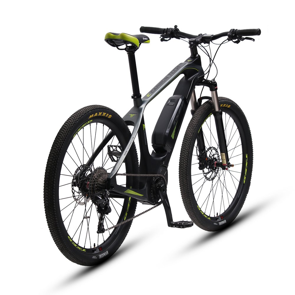 TXED Brushless Geared 36V/250W Lithium Battery Electric Mountain Bike With 11 Speed