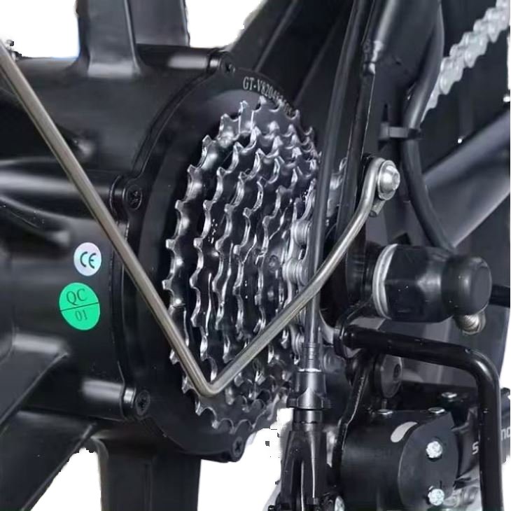 V20 Electric Bicycle 250W E-Bike with Upgrade Fat Tire Off-Road Sport Features City V8 Fatbike for Europe