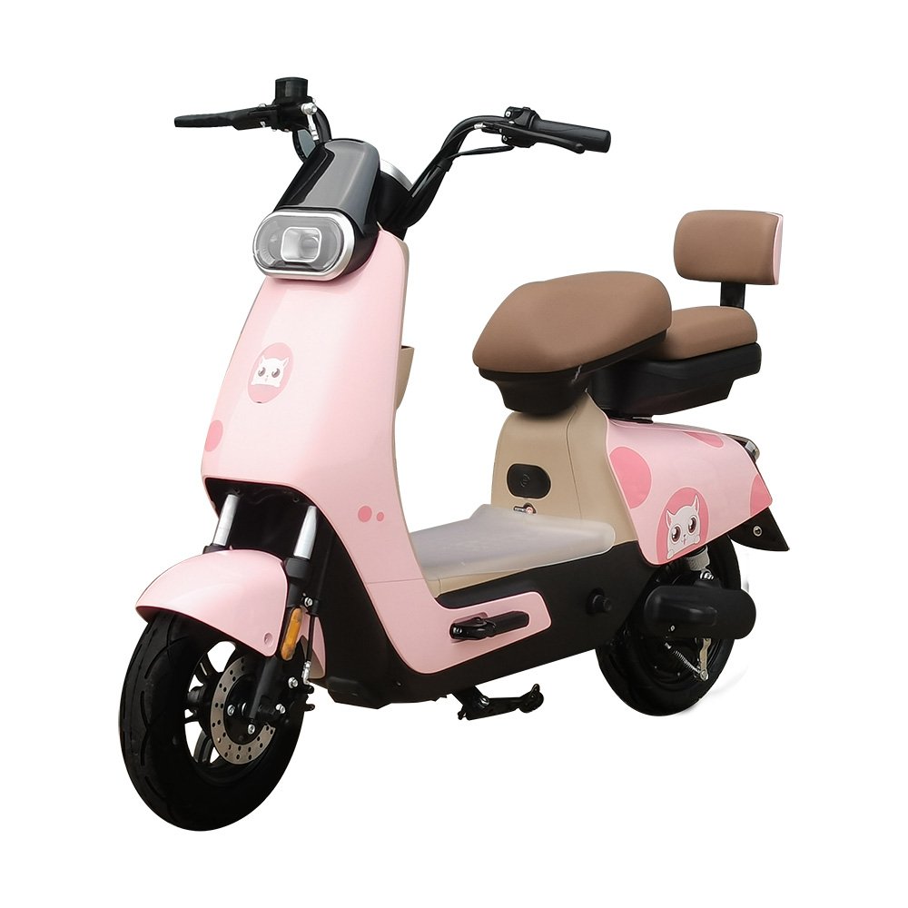 Modernfox Electric City Bike Bicycle 48V 650W Motor Listrik Bicycle Scooter For Women