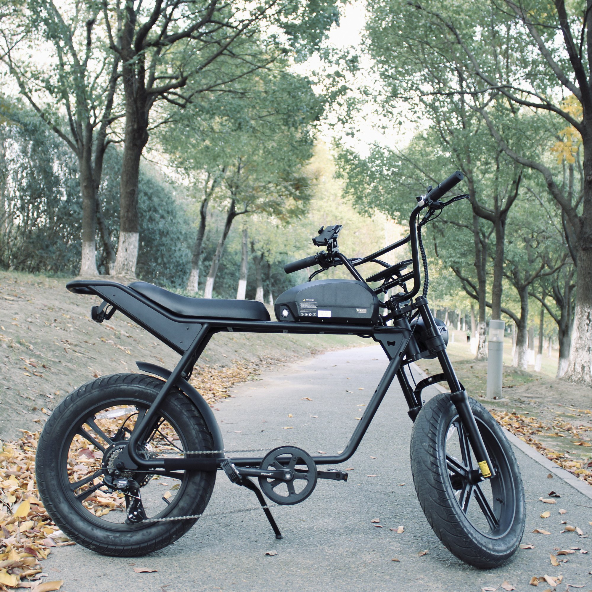 Hot Selling Super Electric Bike 73 20 inch 48V 750W Motor 16Ah Battery Fat Tire Electric Bicycle