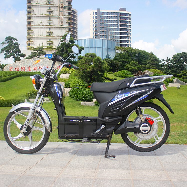 Hot sale 800W big wheel electric mountain bike motorcycles with pedal