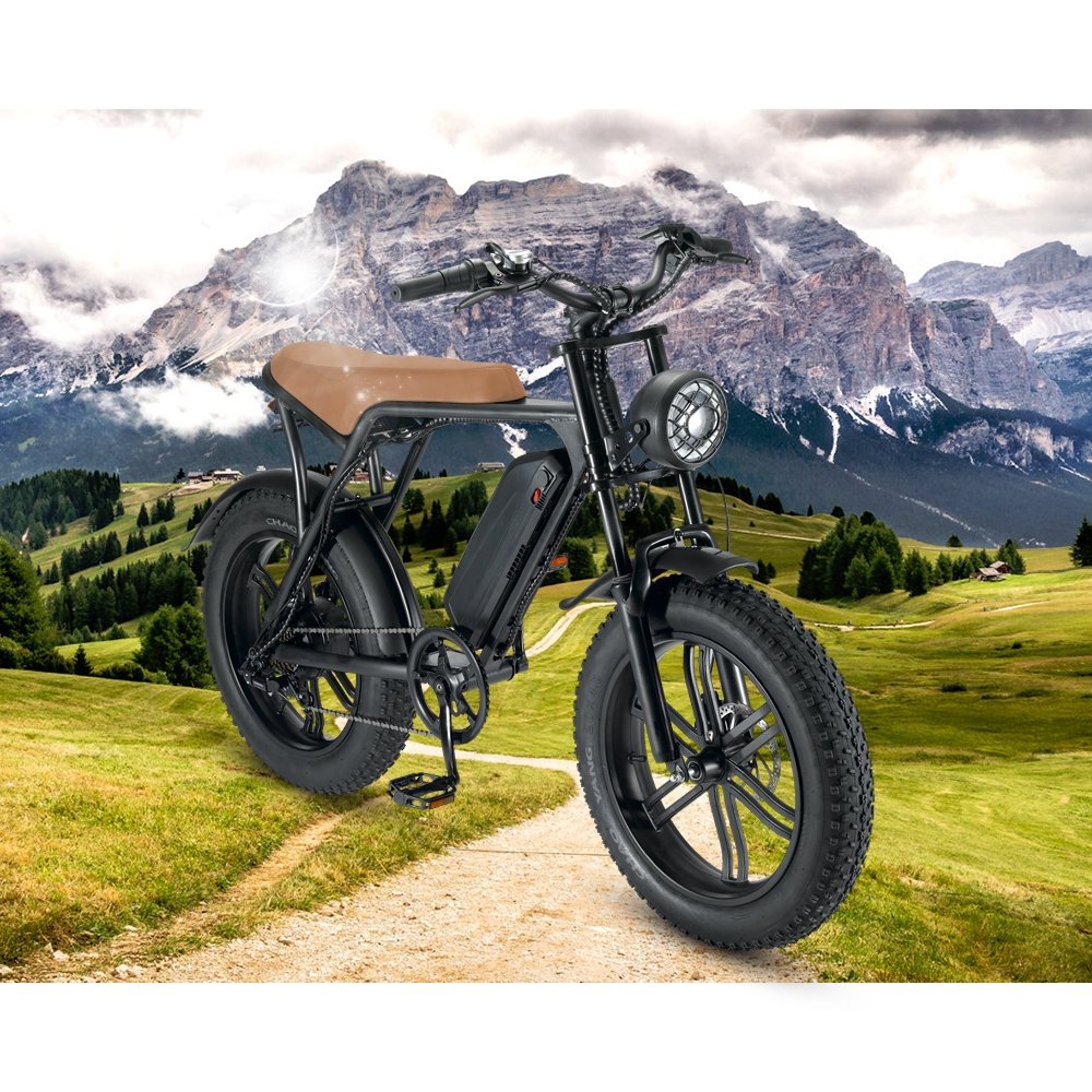 EU Warehouse Drop Shipping New Style 48V 250W 500W Electric Bicycle 20 Inch Fat Electric Bike ouxi v8 v9