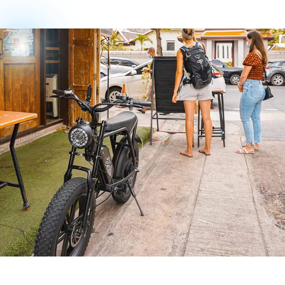 EU Warehouse Drop Shipping New Style 48V 250W 500W Electric Bicycle 20 Inch Fat Electric Bike ouxi v8 v9