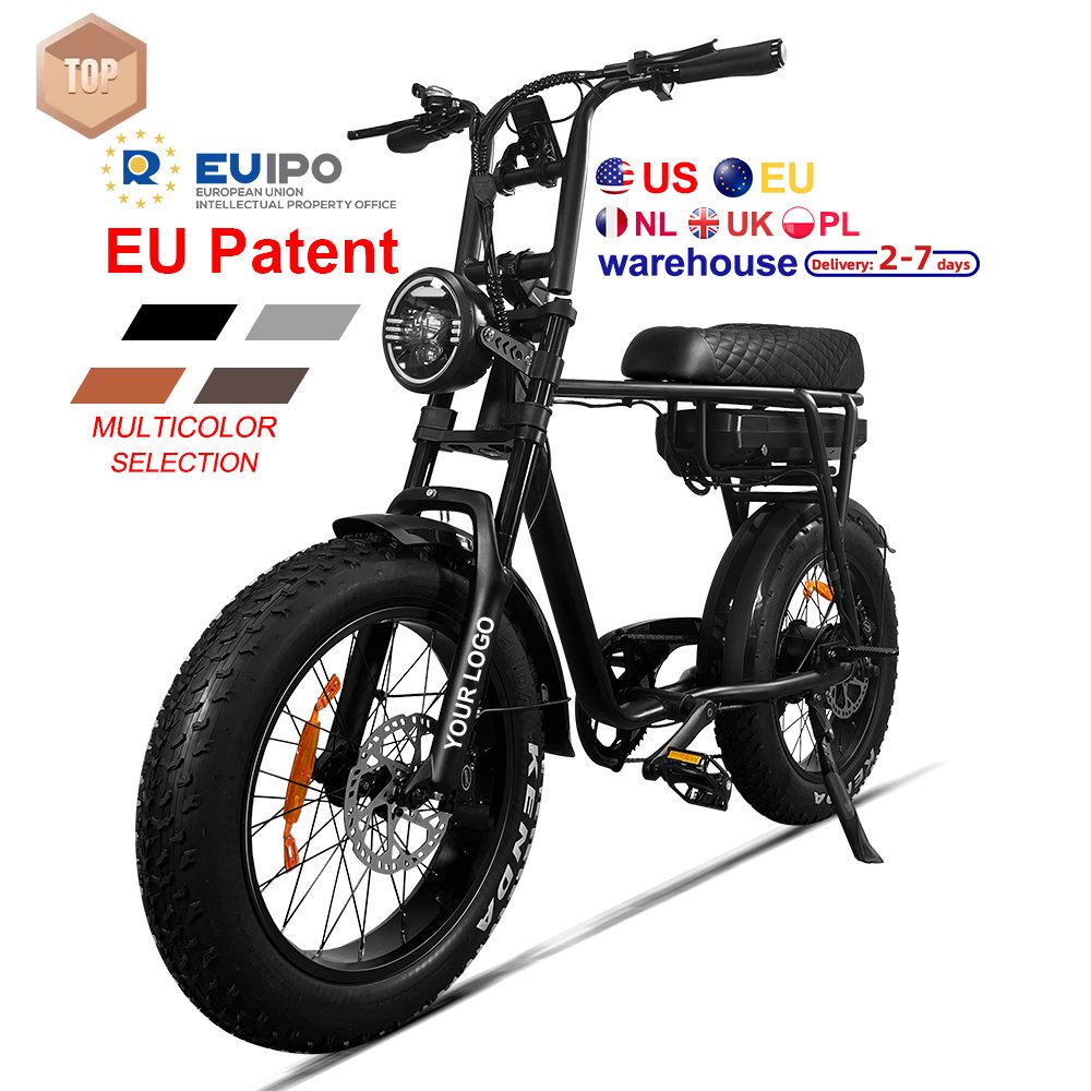EU USA 7GO EB2 48v 250w Retro E-Bike Electric Cycle Road Dirt Fat Tire E Bike Fast Ebike Electric Mountain Bike for Adults