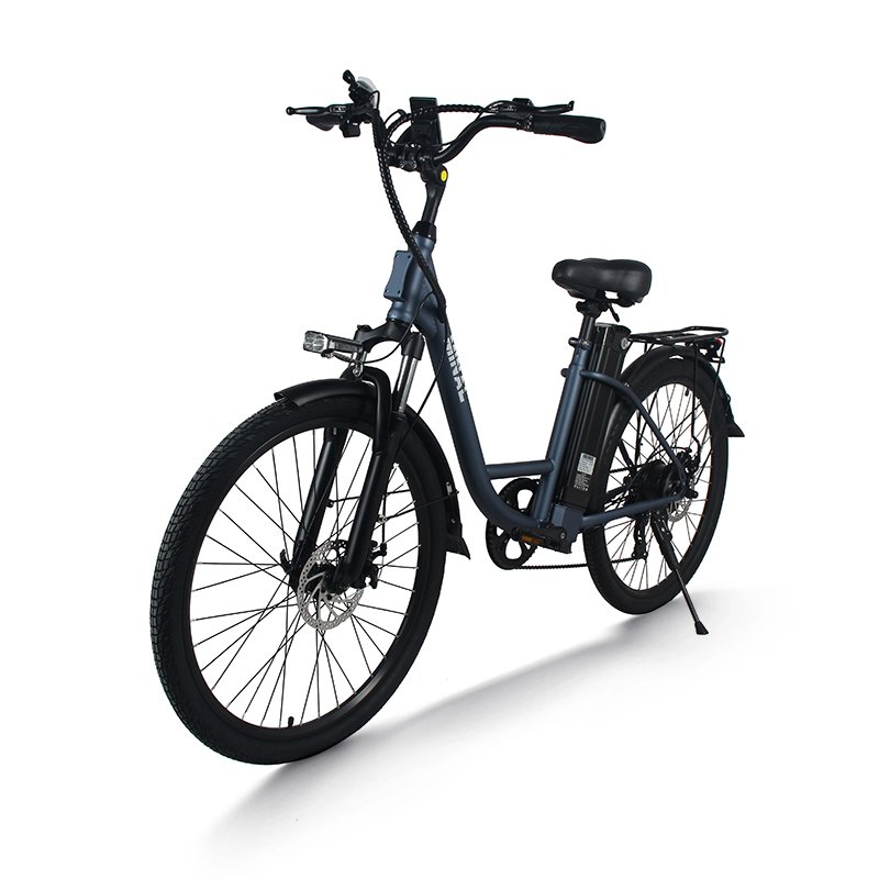 Hot Sell LC900 26 inch 48V 10.5Ah mountain foldable 250w High Speed Rear Drive Brushless Gear Hub fat tire electric