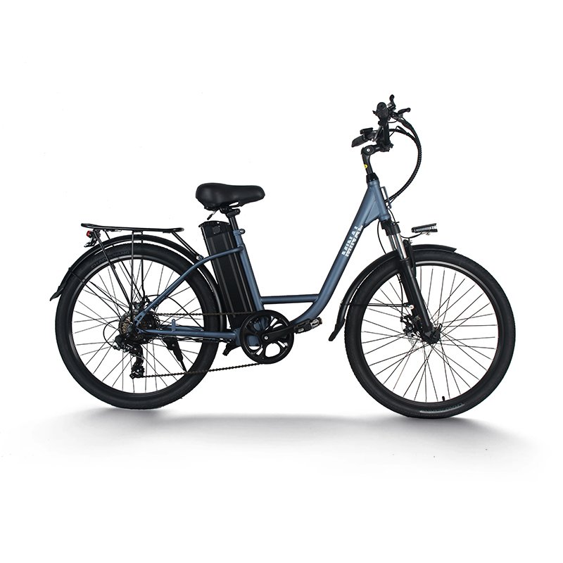 Hot Sell LC900 26 inch 48V 10.5Ah mountain foldable 250w High Speed Rear Drive Brushless Gear Hub fat tire electric