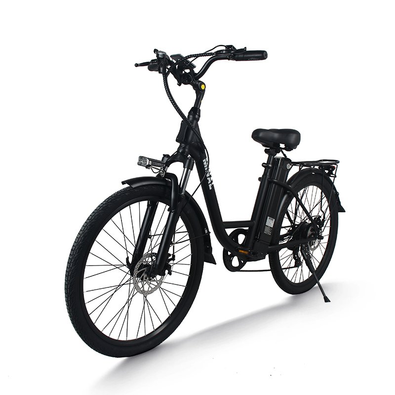 Hot Sell LC900 26 inch 48V 10.5Ah mountain foldable 250w High Speed Rear Drive Brushless Gear Hub fat tire electric