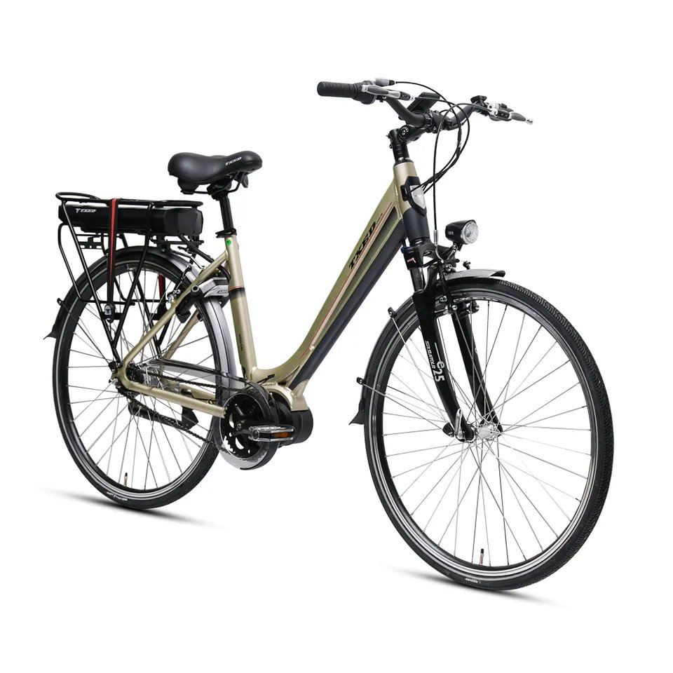 TXED high-quality mid mounted motor alloy double wall rim electric leisure bike