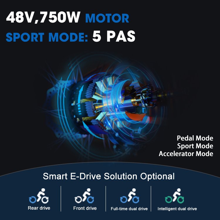 27.5 inch Tire 750W 48V 10AH Lithium Battery ZOOM Disc Break Aluminum Alloy MTB eBike Full Suspension Electric Mountain Bike EU