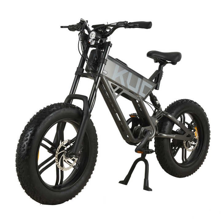 750W Motor 48V 13Ah Top speed 38 KM/h Dual Suspension Electric bikes bicycle