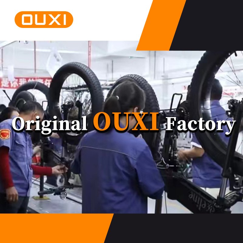 ebike fat tire e-bikes fat tire electric bicycle 250w fat bike 20inches electric fat tire bike ouxi v8-2.0 EU warehouse