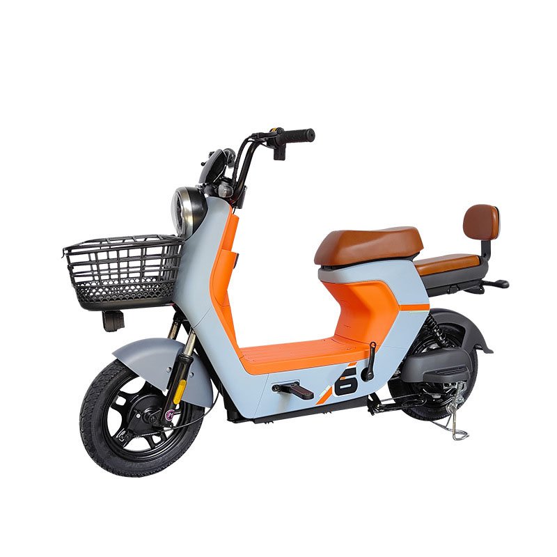Hot Selling Popular Vintage Electric City Bicycle High Power Fat Tire Adults Electric Mountain Bike