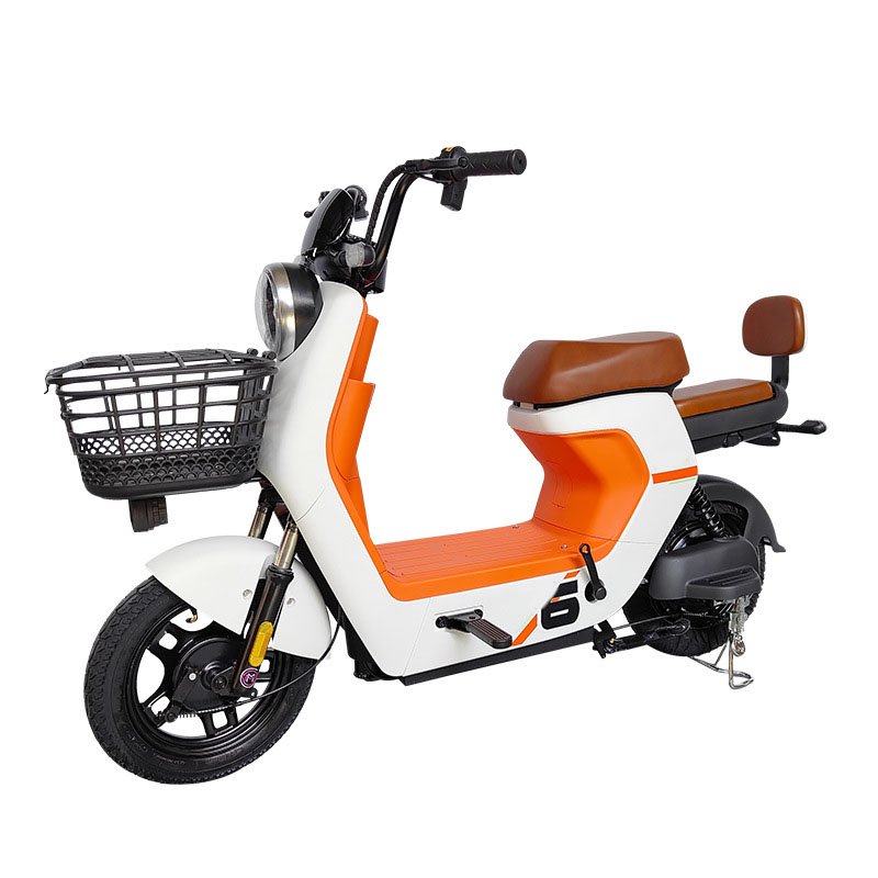 Hot Selling Popular Vintage Electric City Bicycle High Power Fat Tire Adults Electric Mountain Bike