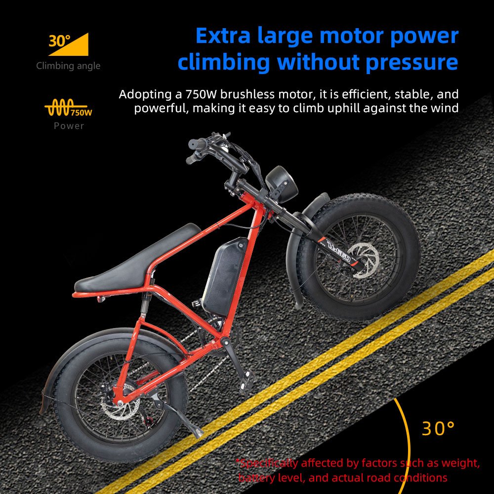 Eu Warehouse E Bicycle Electric Ebike E-bike Bikes Mens Motorcycle Aluminum Adult Dual Motor Fat Tire Mountain Bike