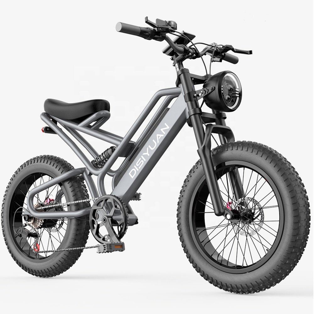 Electric Bicycle Fat Bike 48V 1000W Cheap Electric Mountain Bike Full Suspension Mountain Ebike