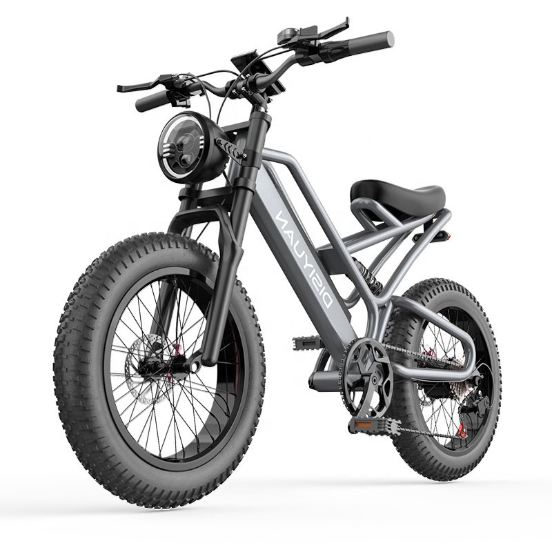 Electric Bicycle Fat Bike 48V 1000W Cheap Electric Mountain Bike Full Suspension Mountain Ebike