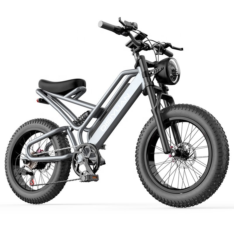 Electric Bicycle Fat Bike 48V 1000W Cheap Electric Mountain Bike Full Suspension Mountain Ebike