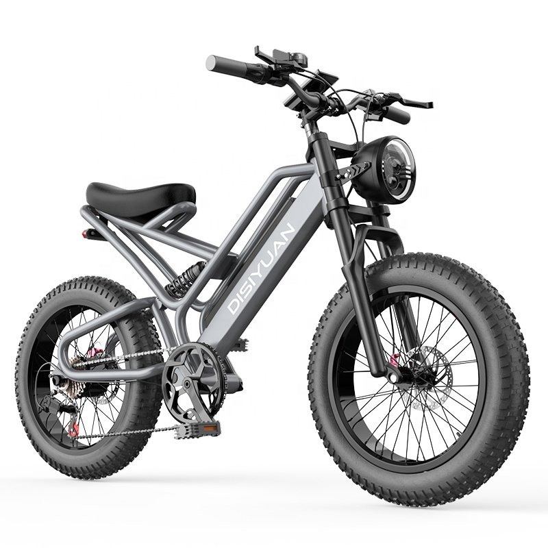 Electric Bicycle Fat Bike 48V 1000W Cheap Electric Mountain Bike Full Suspension Mountain Ebike