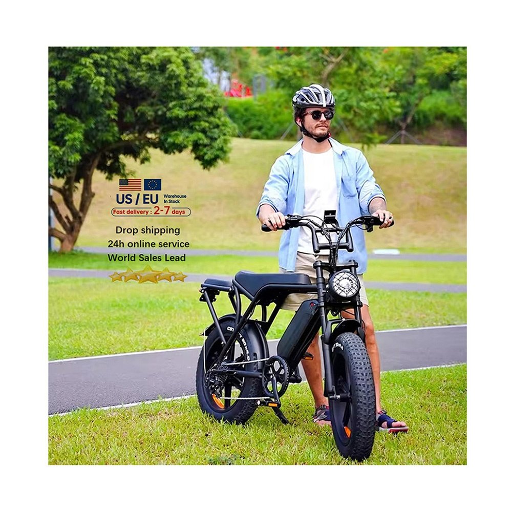 20" fat tire mountain bicycle electric bike 48v 250w Fatbike 25km/h ebike Dirt fat Hybrid City e-bike Off Road V8 City e bike