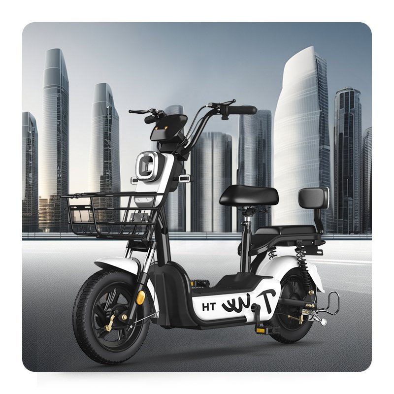 Paige Factory Wholesale 350W 48V Adult Electric City Bike Steel Frame Two-Wheeled Electric Scooter with Lead-Acid Battery