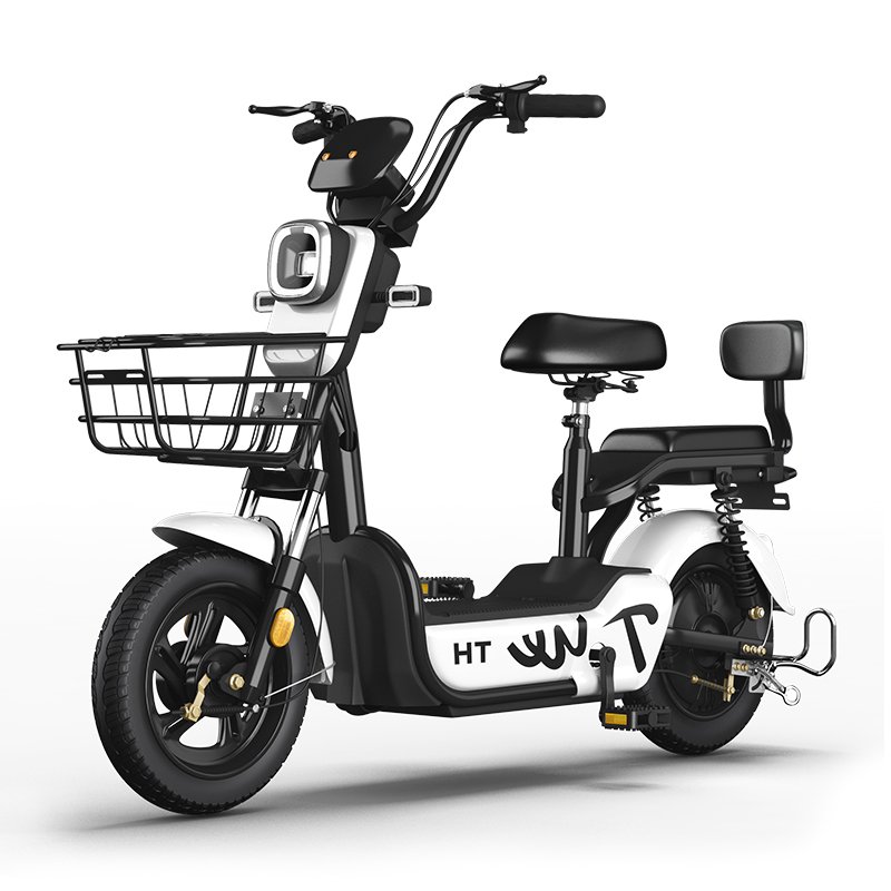 Paige Factory Wholesale 350W 48V Adult Electric City Bike Steel Frame Two-Wheeled Electric Scooter with Lead-Acid Battery