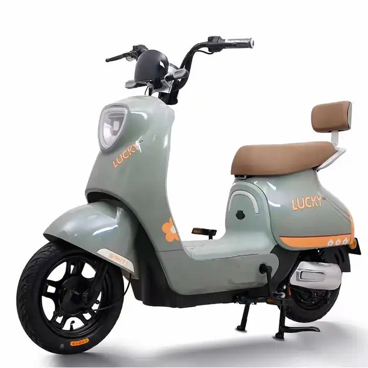 Hot Sale High Quality Spot Straight 48V 350W Electric City Bike Variable Speed Help Travel Electric Scooter