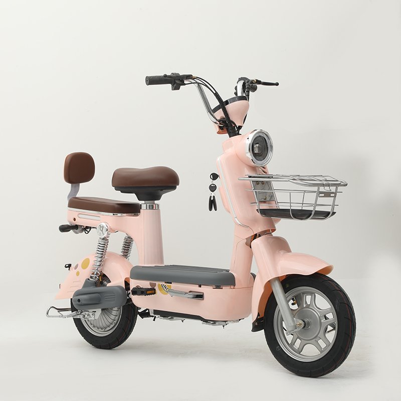 500W Eco-friendly Made in China New National Standard Electric city bike with seats for Men and Women