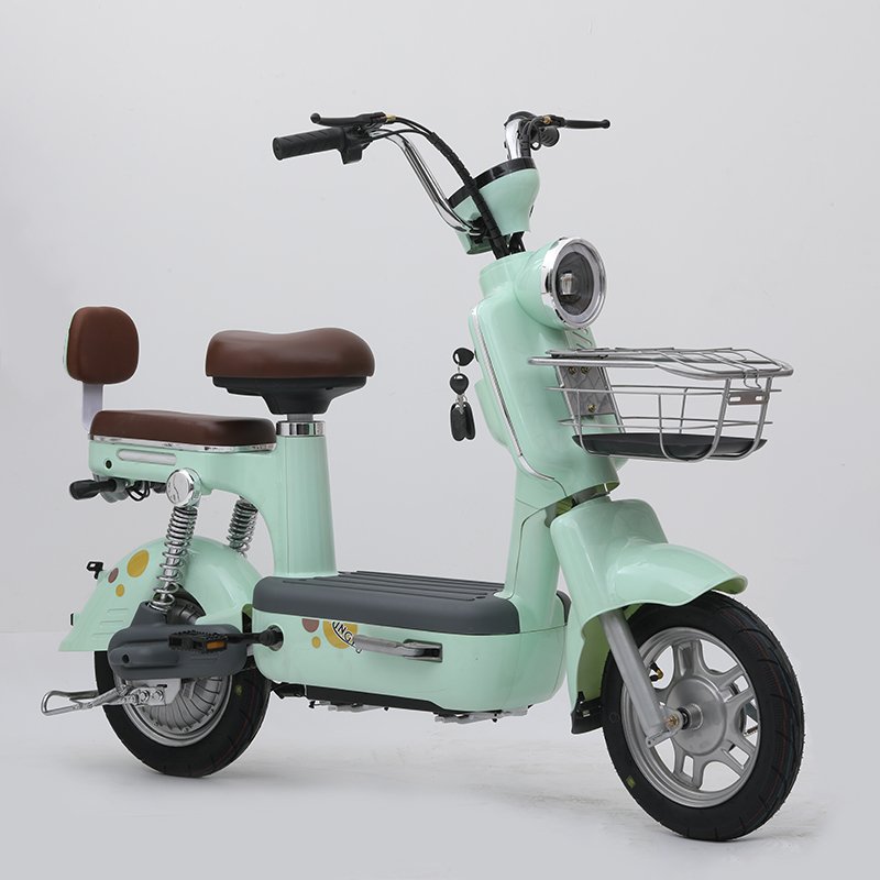 500W Eco-friendly Made in China New National Standard Electric city bike with seats for Men and Women
