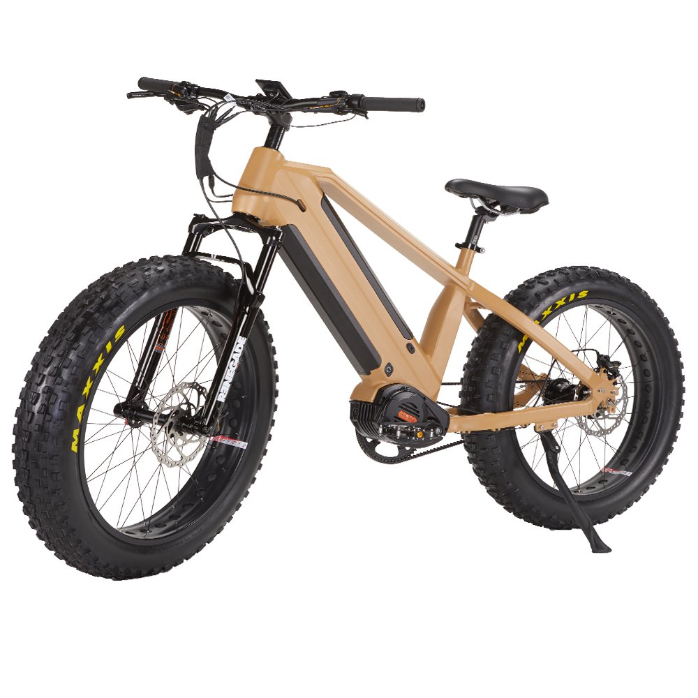 High Quality Direct Factory Inner 14 Speed mtb Bicycle Bike 1000w Fat Electric Mountain Bike For Sales