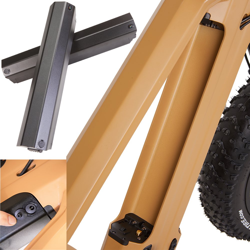 High Quality Direct Factory Inner 14 Speed mtb Bicycle Bike 1000w Fat Electric Mountain Bike For Sales