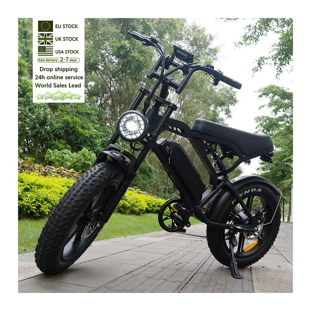 Ebike V20 Pro fatbike 20*4 inch eu stock electr bike price full suspension electric city bike electric bicycle e bike