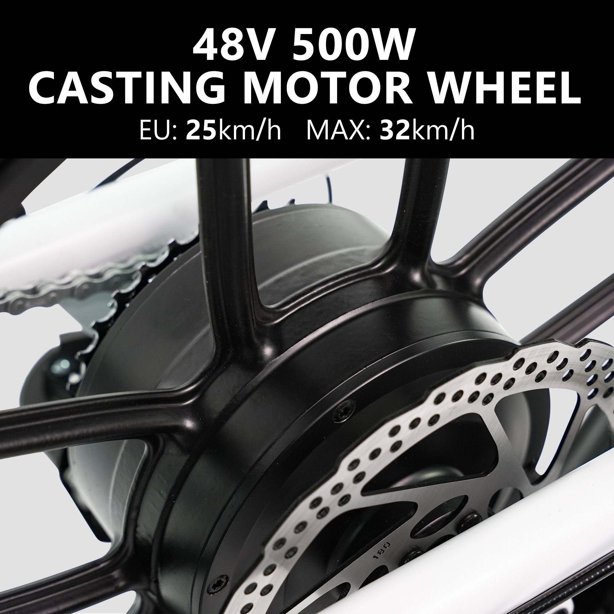 Greenpedel High Power 20'' E-bike 500w Tire Snow Electric Cargo Bicycle Ebike